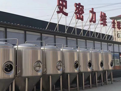 滨海精酿啤酒设备厂—市场规模与跨界新需求